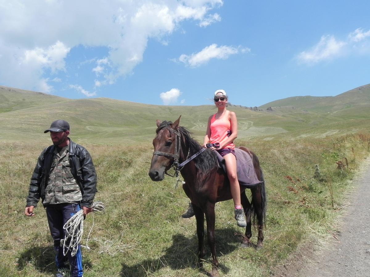 Barseghyan'S Guest House Vardenis エクステリア 写真